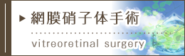 網膜硝子体手術