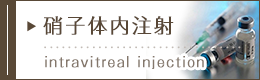 硝子体注射