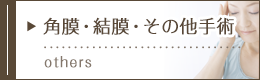 角膜・結膜・その他の手術