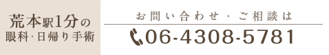 06-4308-5781